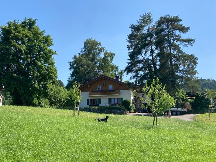Hausansicht Wiese