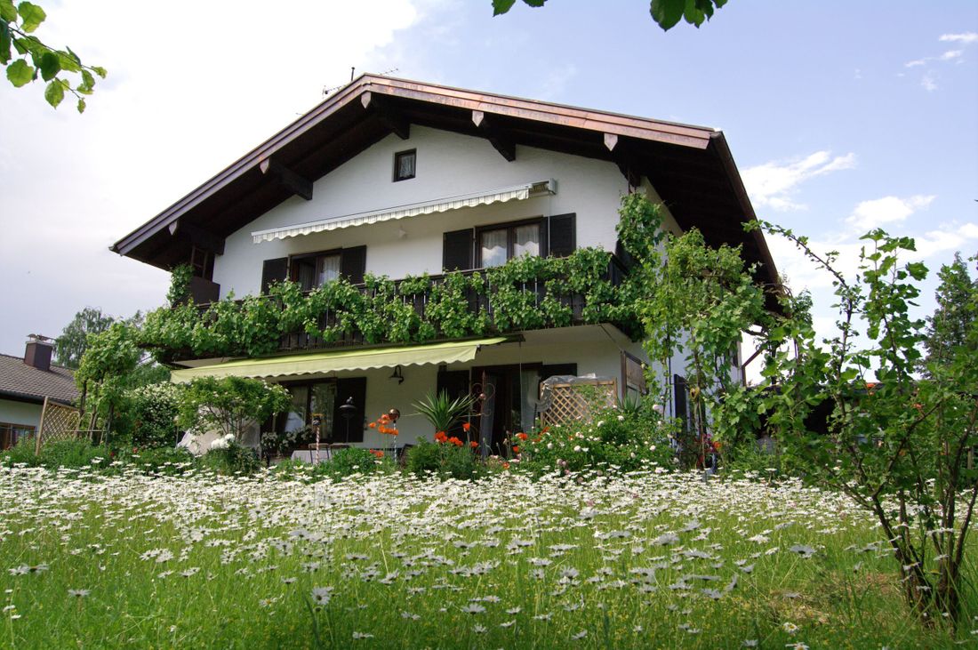Hausansicht Garten