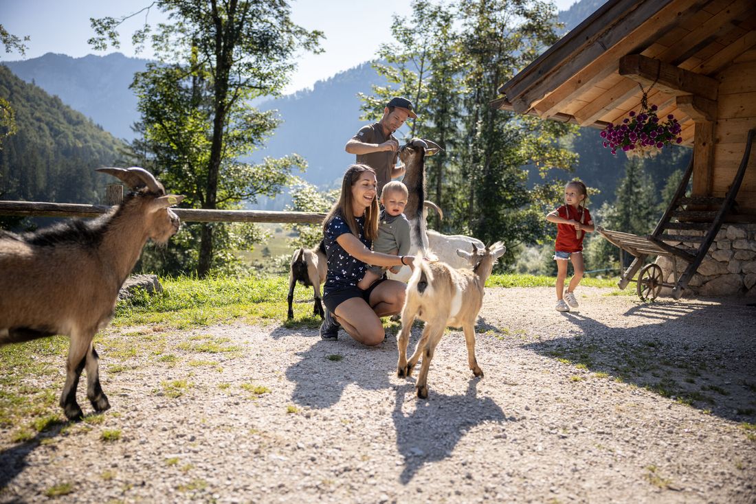 Inzell Sommer Familie Alm Moaralm Familie Rad Radfahren Mountainbike Bike Falkensee Schmelz Spielplatz Naturbadesee baden See