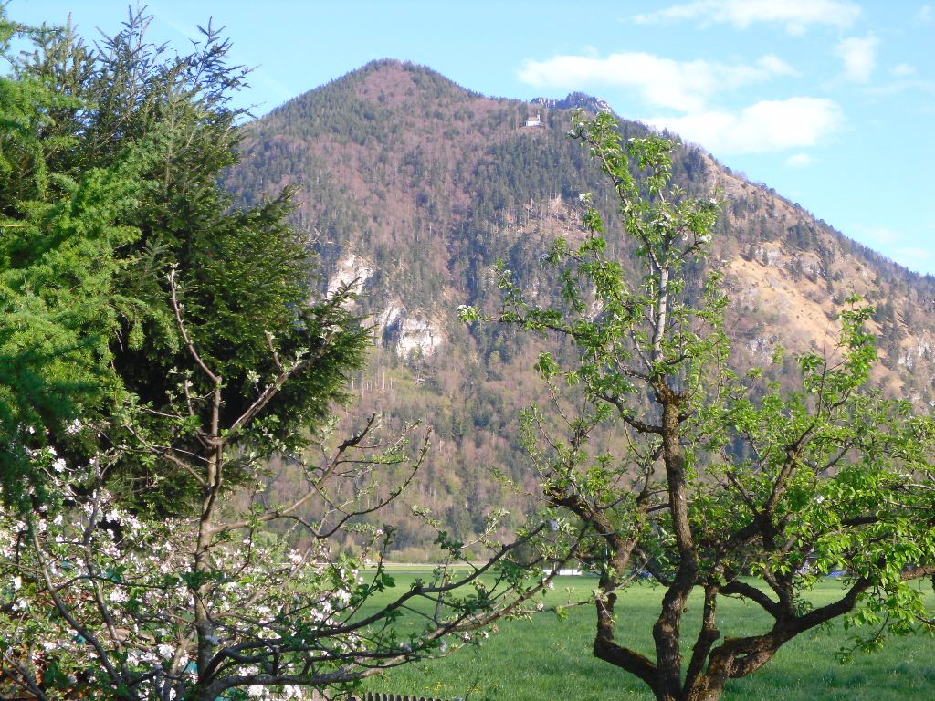 Blick von Terasse zum Schnappenberg 1.040m (Jahreszeit April)