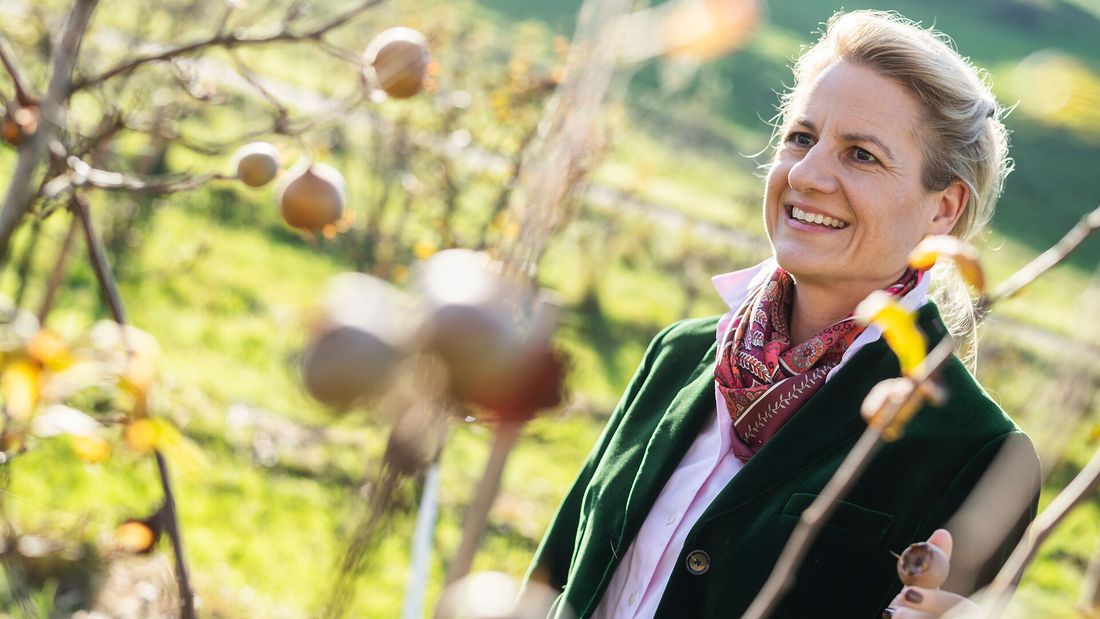 Hofführungen und Obstweinverkostung