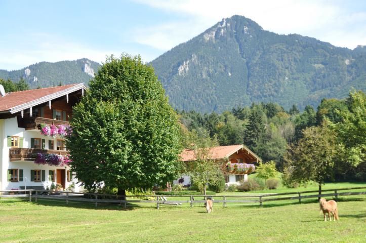 Unser Hof im Sommer
