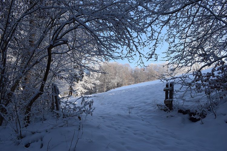 Winterlandschaft, Blick auf unsere Weide
