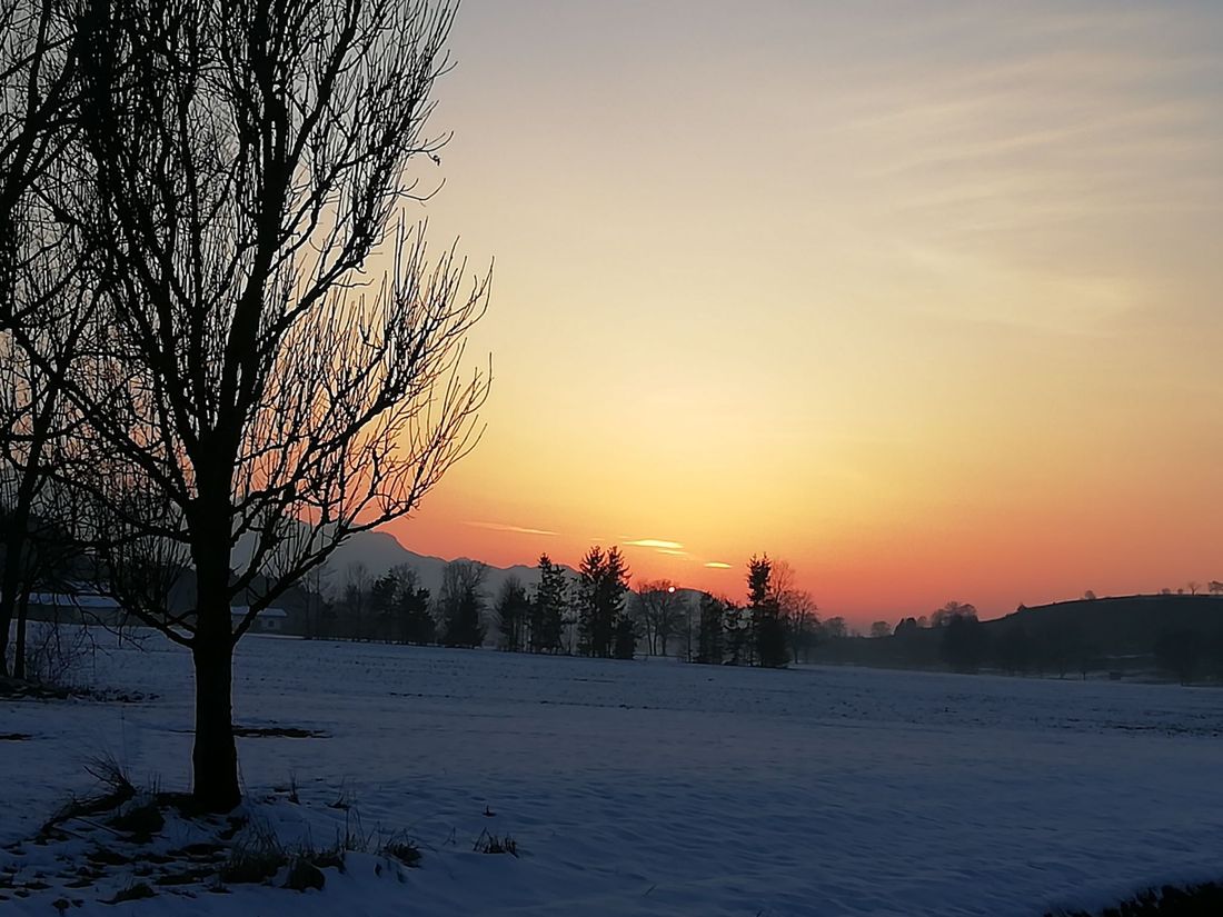 Sonnenuntergang Bergener Moos