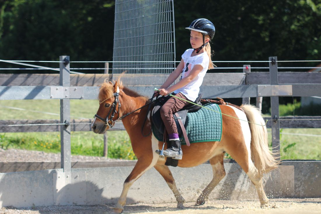 Reiten mit unserer Ponystute Lucca