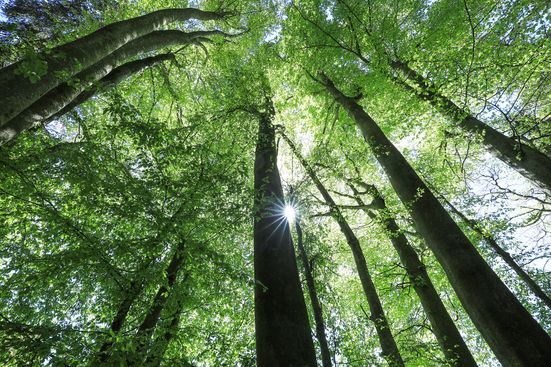 Erlebistage LandWIRtschaft