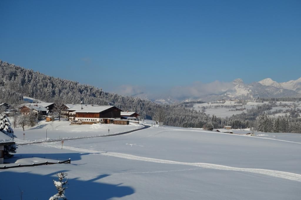 Blick auf Atlblindau.jpg