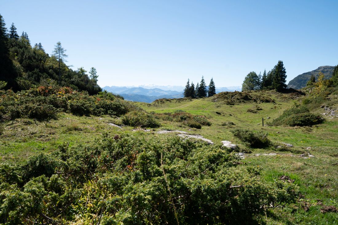 Gletscherblick Premiumwandern