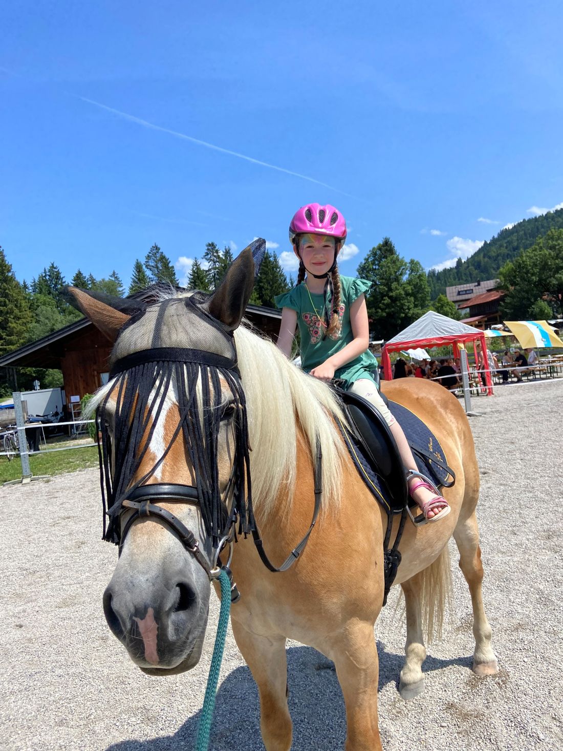 sommerfest-pferde7