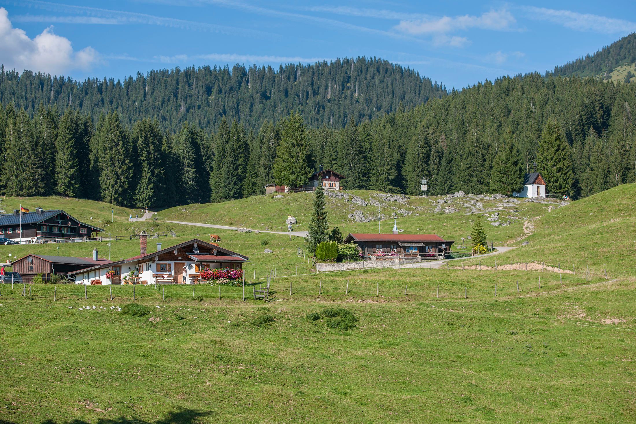 Zenzalm Panorama