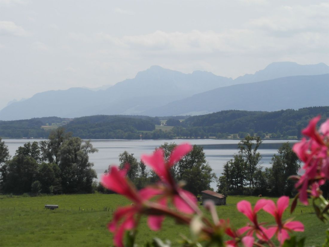 Aussicht vom Garten