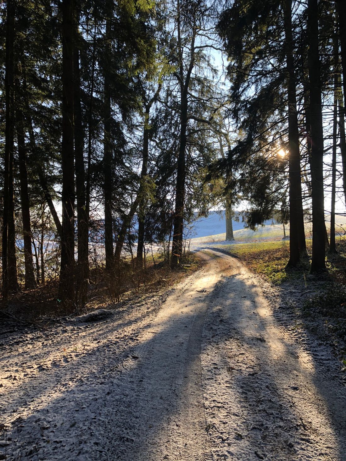 Gesund und kraftvoll durch den Winter