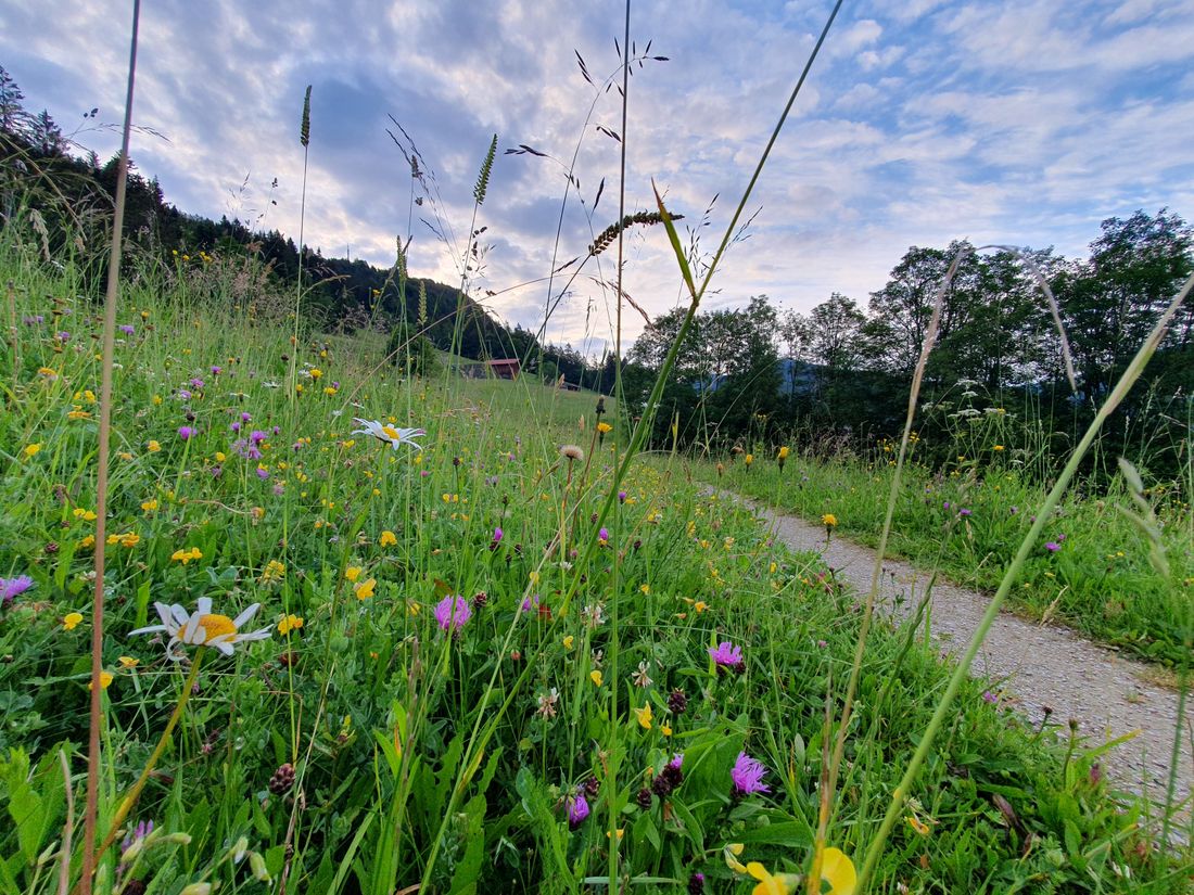 Kapellensteig am Pötschbichl