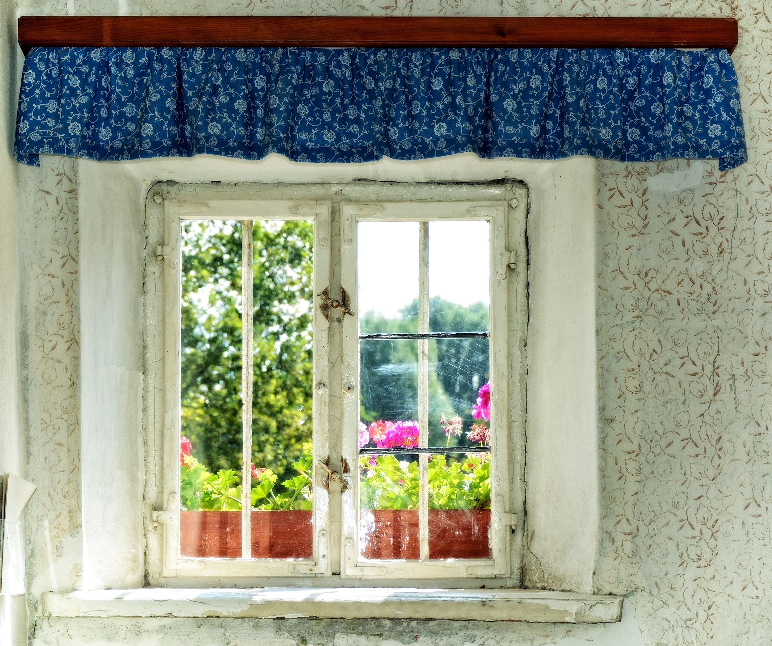 Fenster