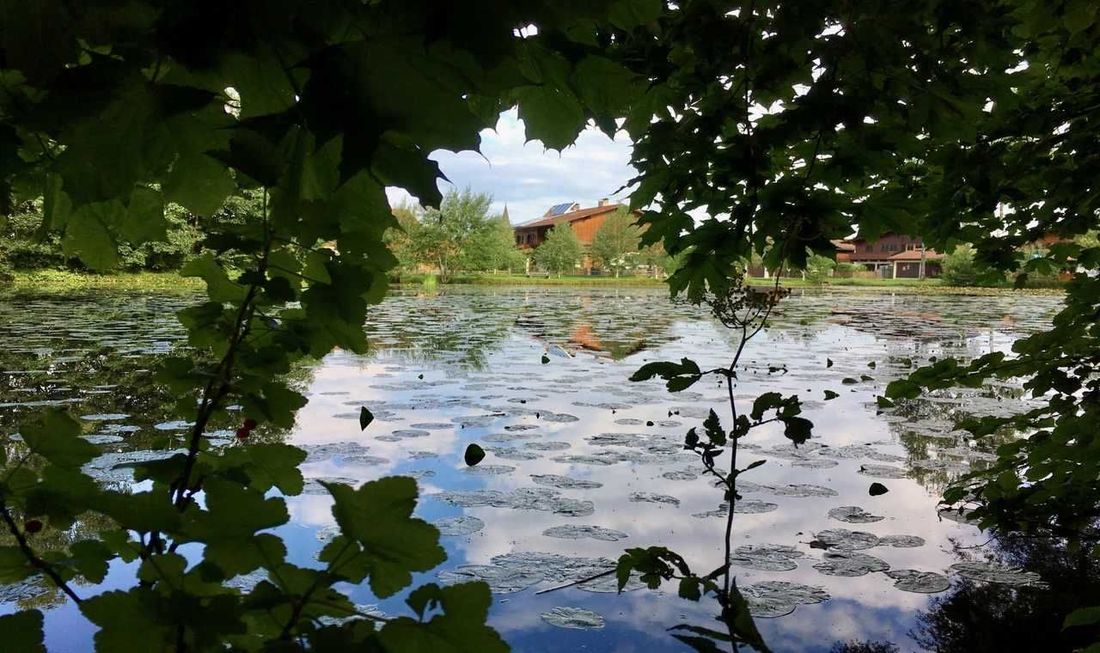 Brei Weiher in Grabenstätt