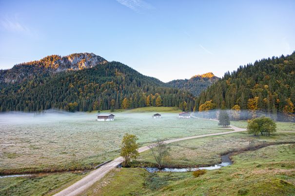 Röthelmoosgebiet im Herbst