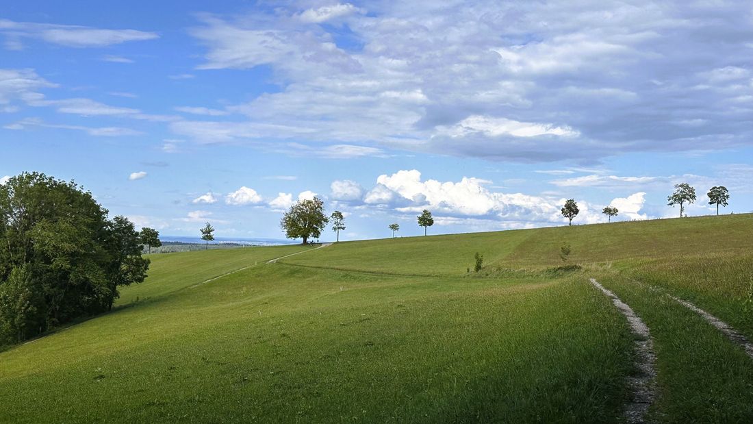 Wanderwege Hochberg