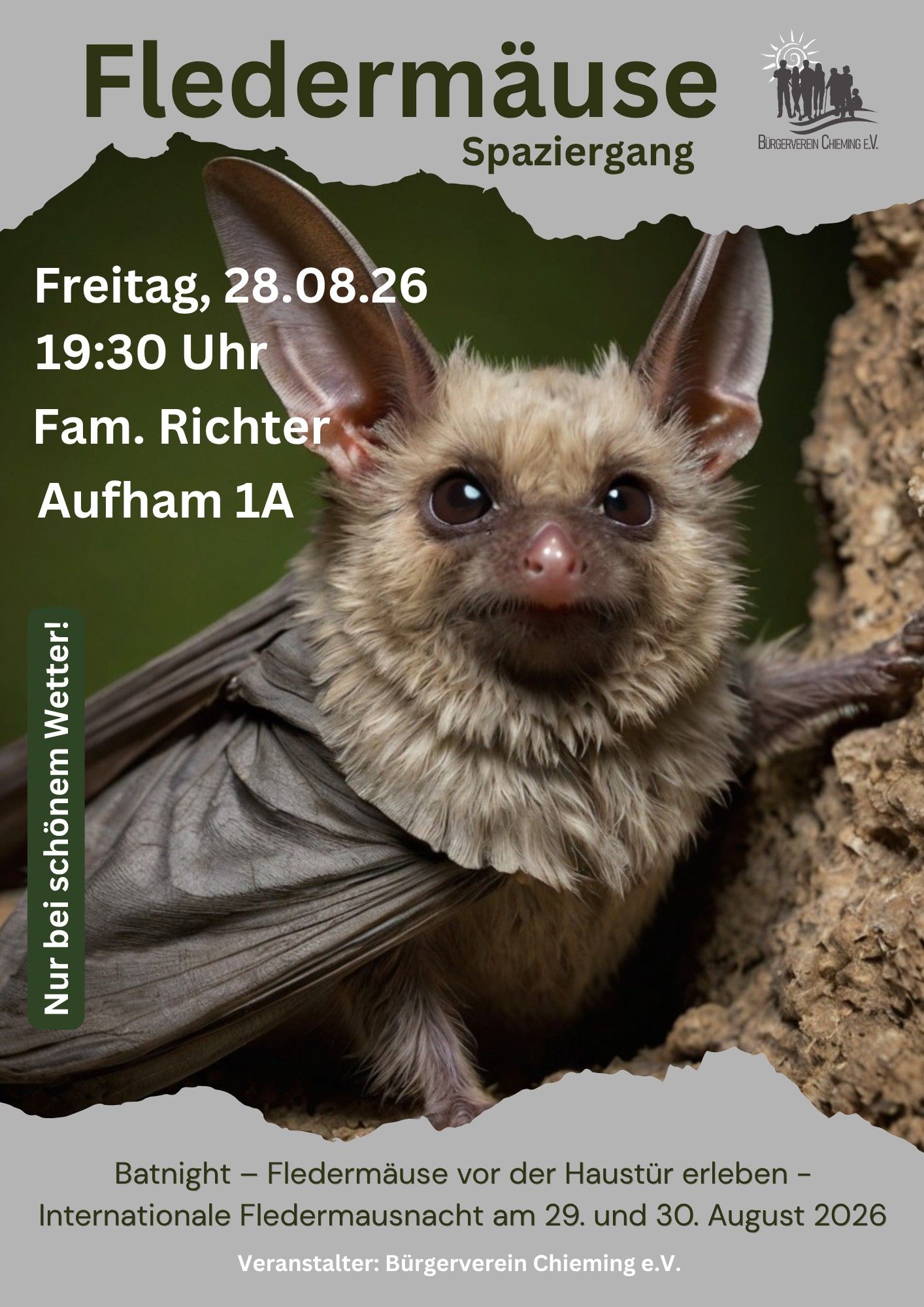 BVC_Fledermaus