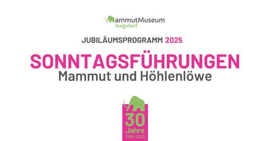 Sonntagsführungen Mammut und Höhlenlöwe
