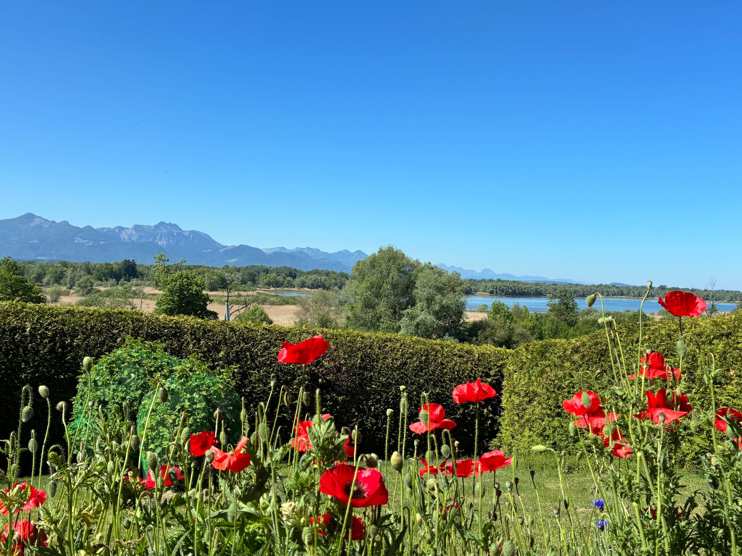 Blick vom Haus auf den Chiemsee und die Alpen