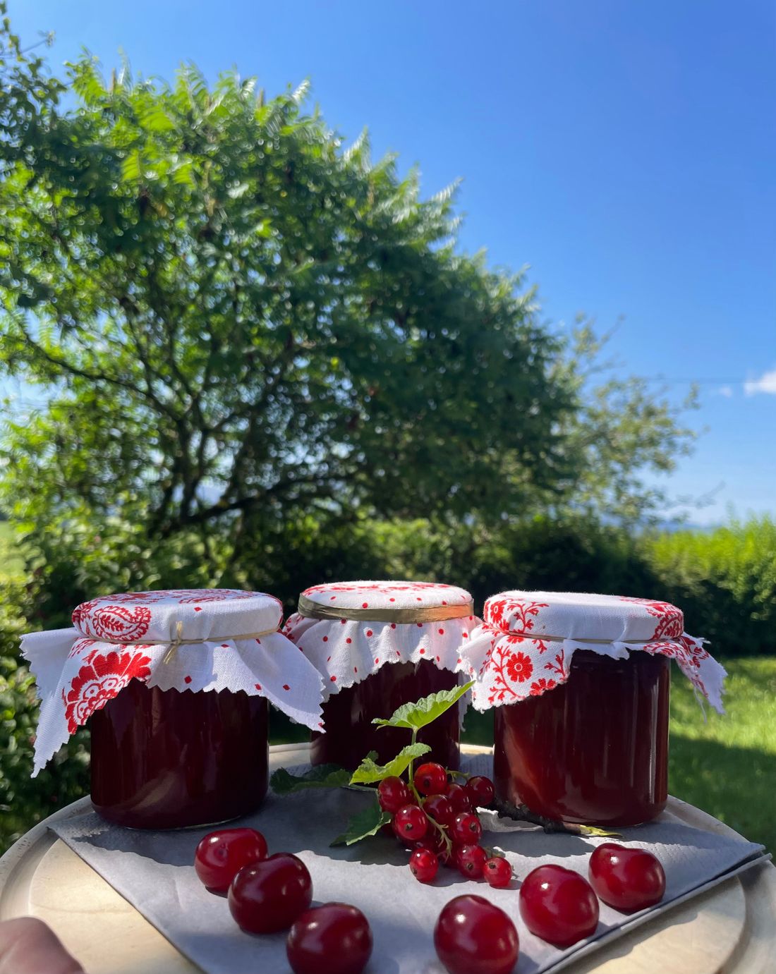 Hausgemachte Marmelade aus eigenem Obst