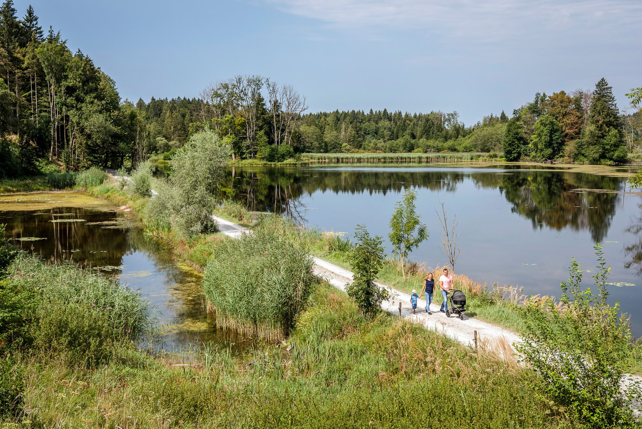 Spazierweg Bansee zum Reiterhof Grünweg  Günter Standl.jpg