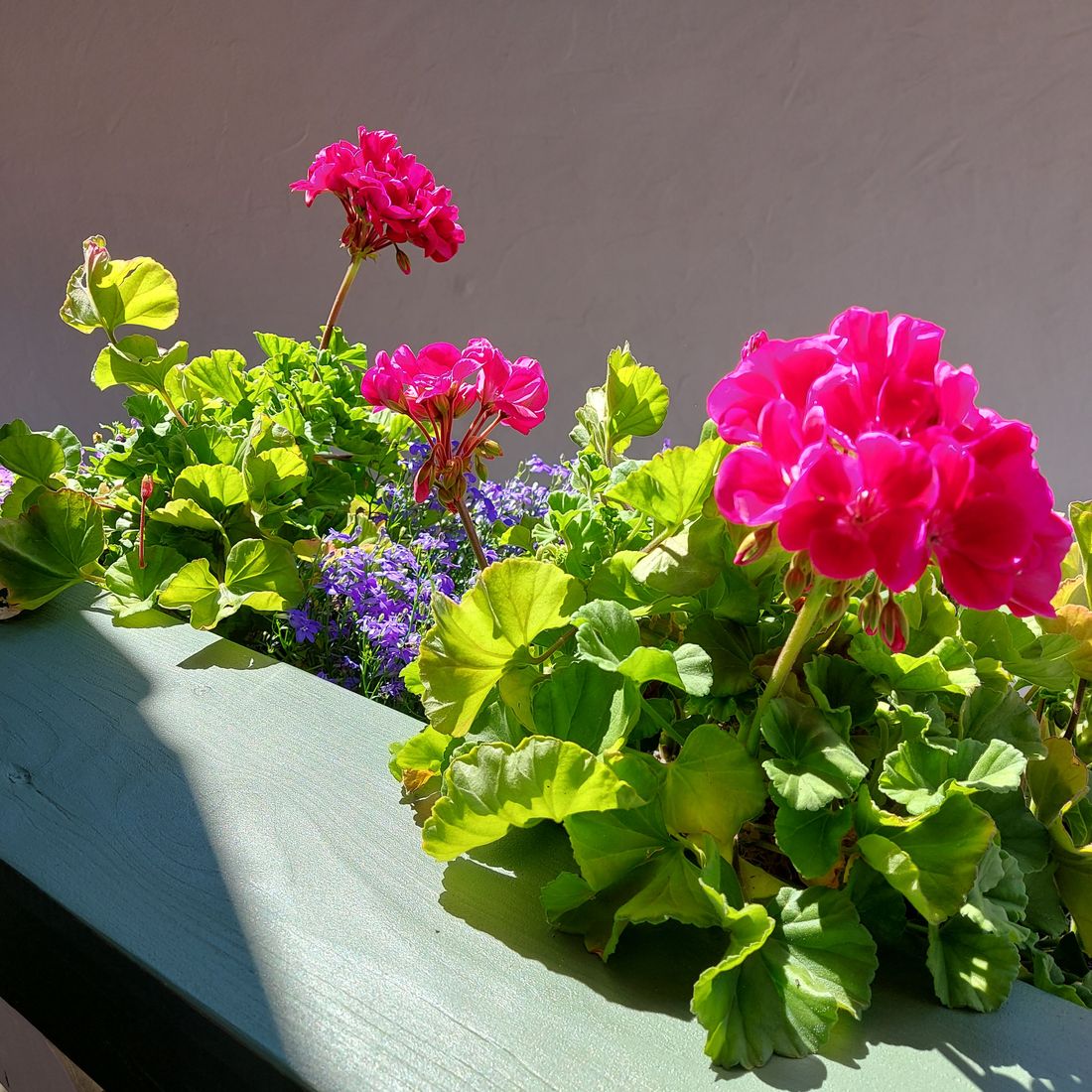 Südbalkon