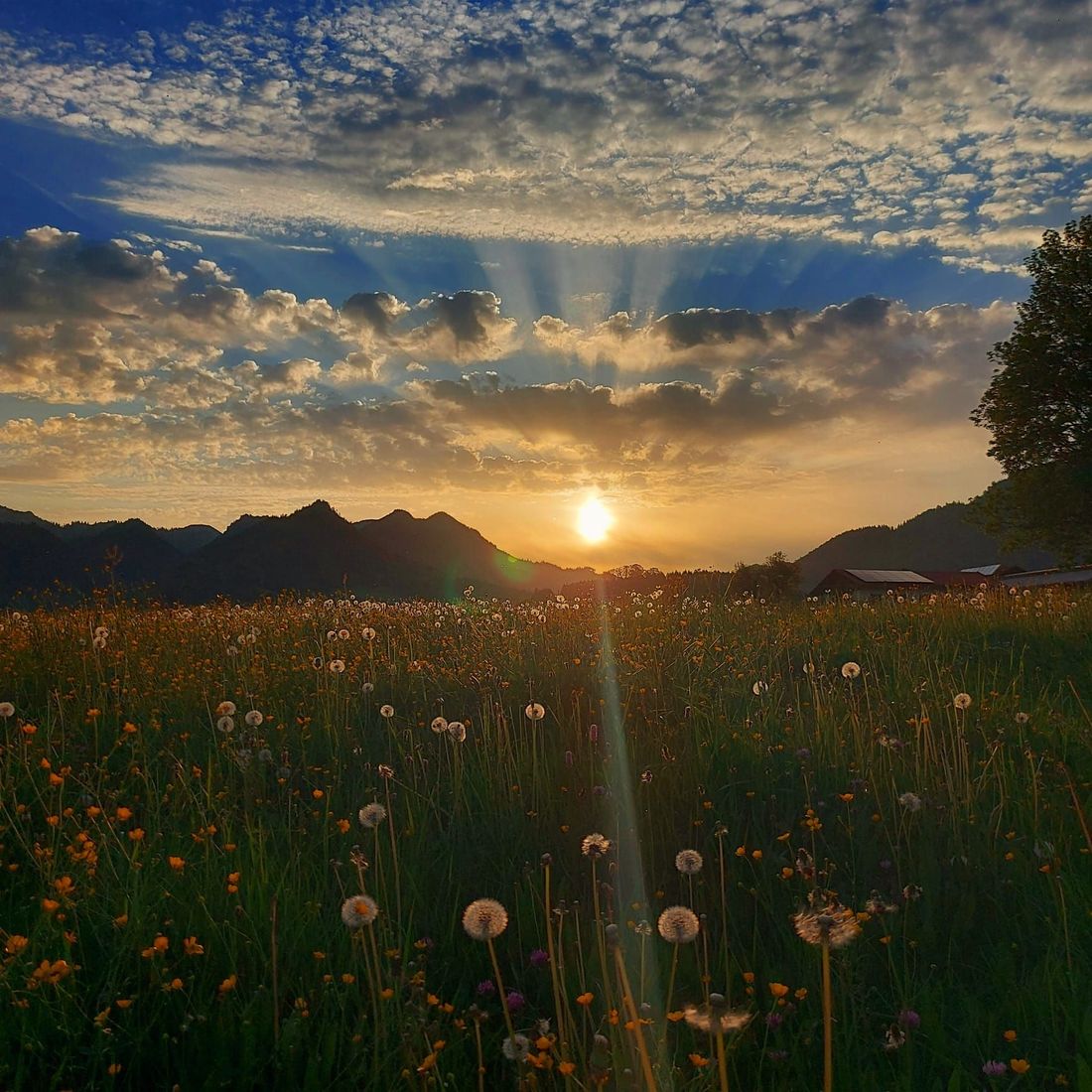 Abendstimmung