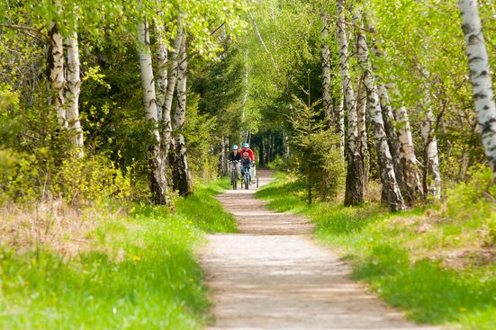 Durch einsame Moorwege zum Chiemsee