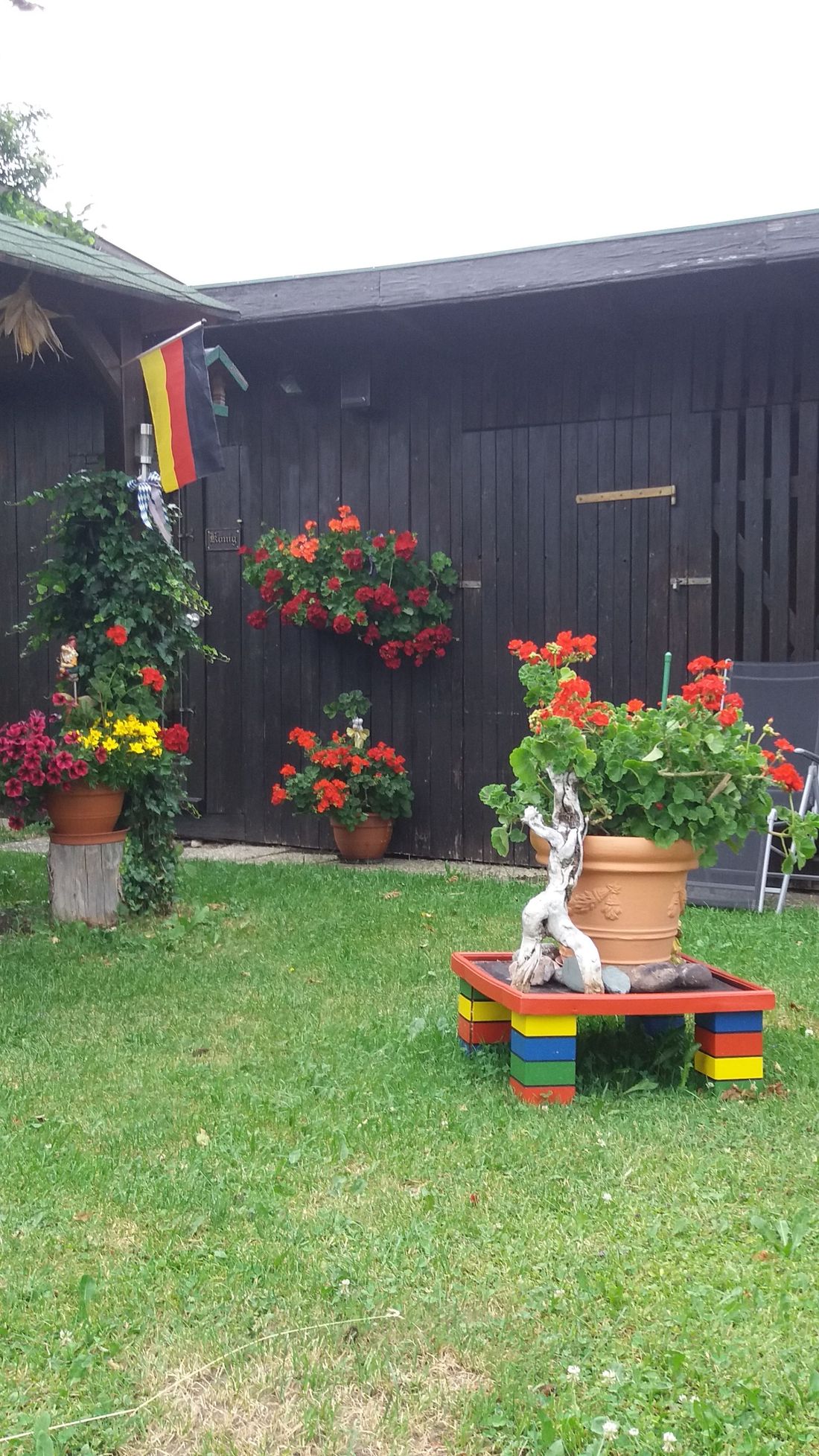 Bei uns im Garten.