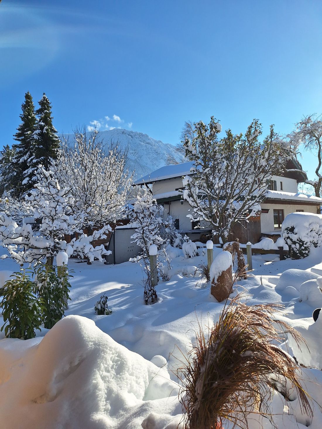 Winter Garten