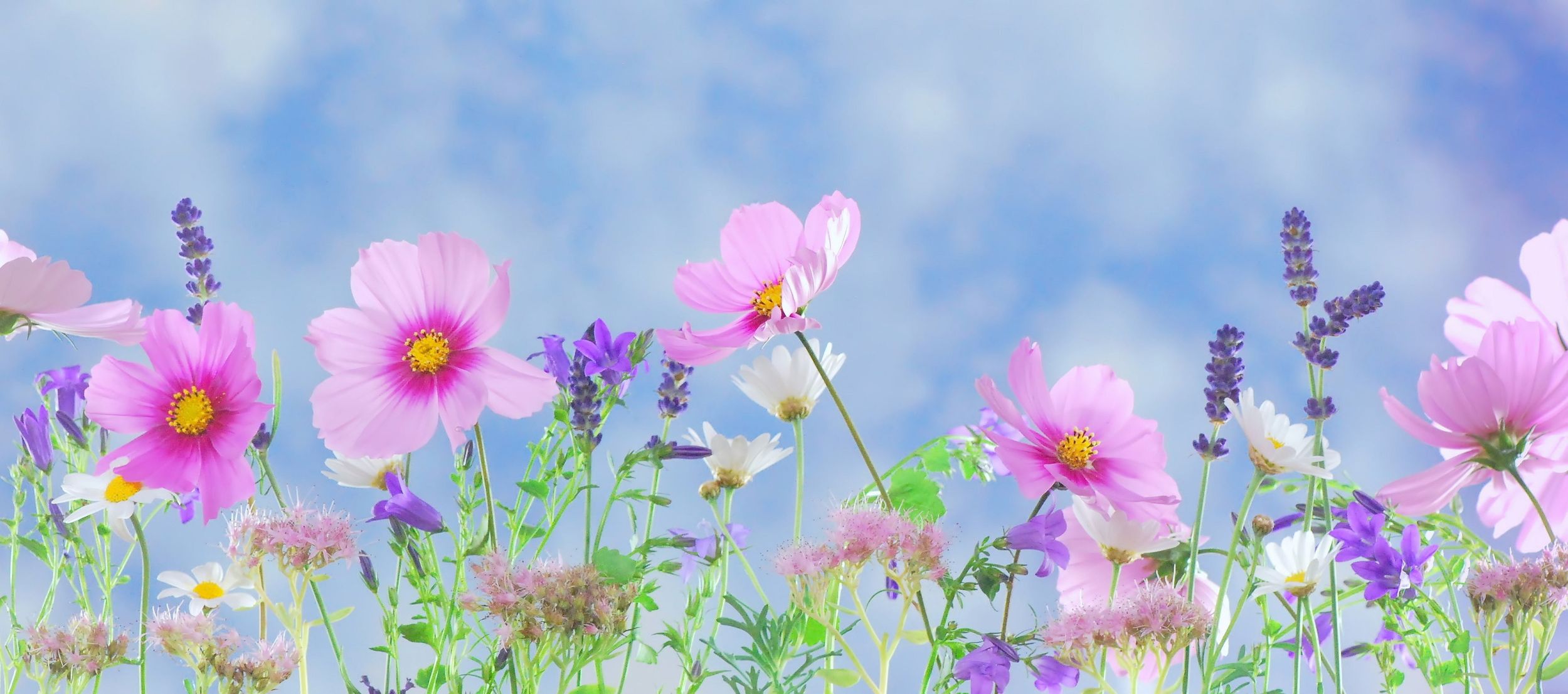 Garten pixabay (2)