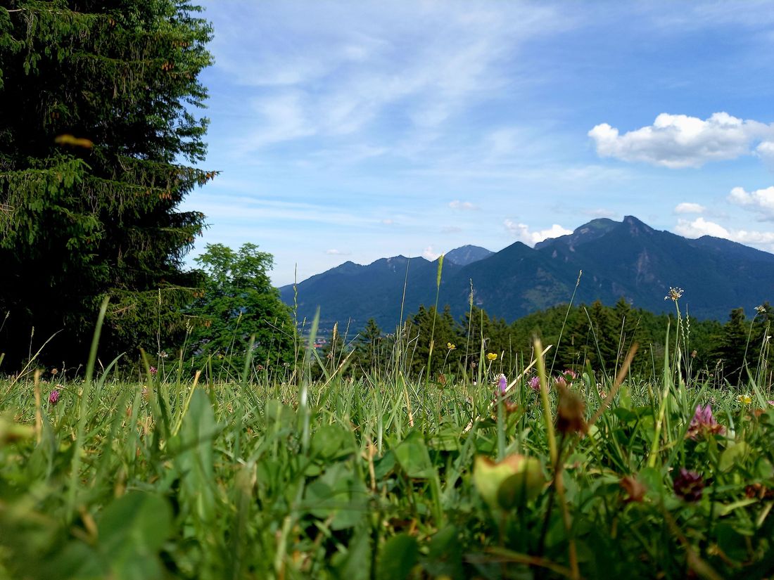 Auf dem Weg zur Rachelalm