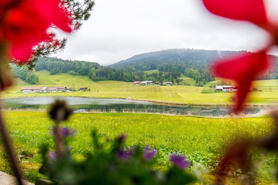Seeblick von der Gartenhütte aus