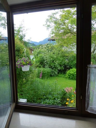 Ausblick in den Garten