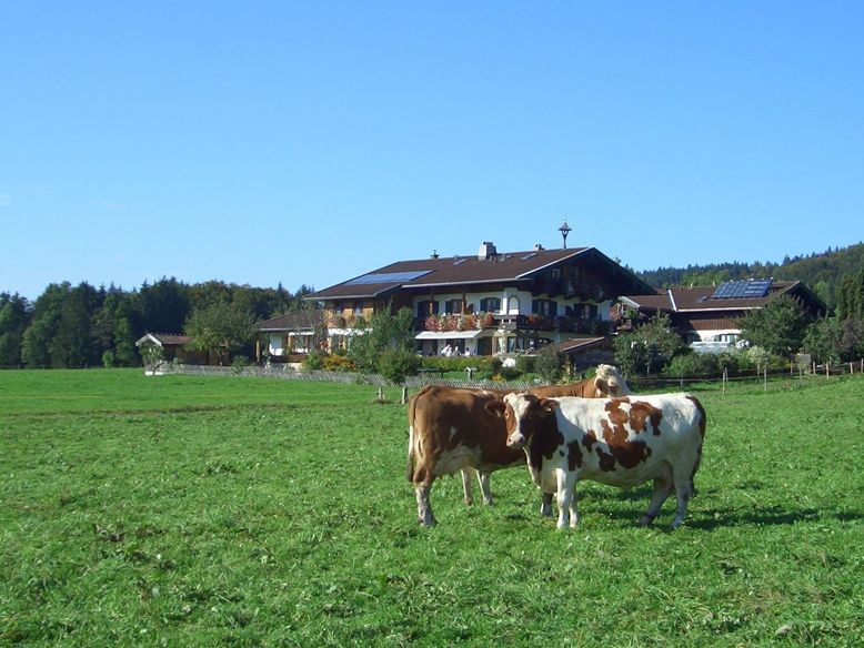 house view