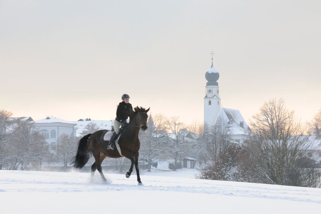 Reiten auf Gut Ising