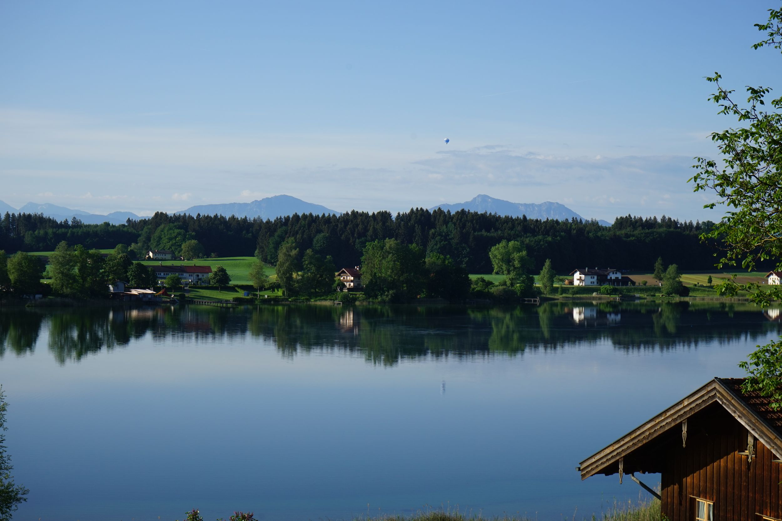 Blick vom Balkon im Sommer