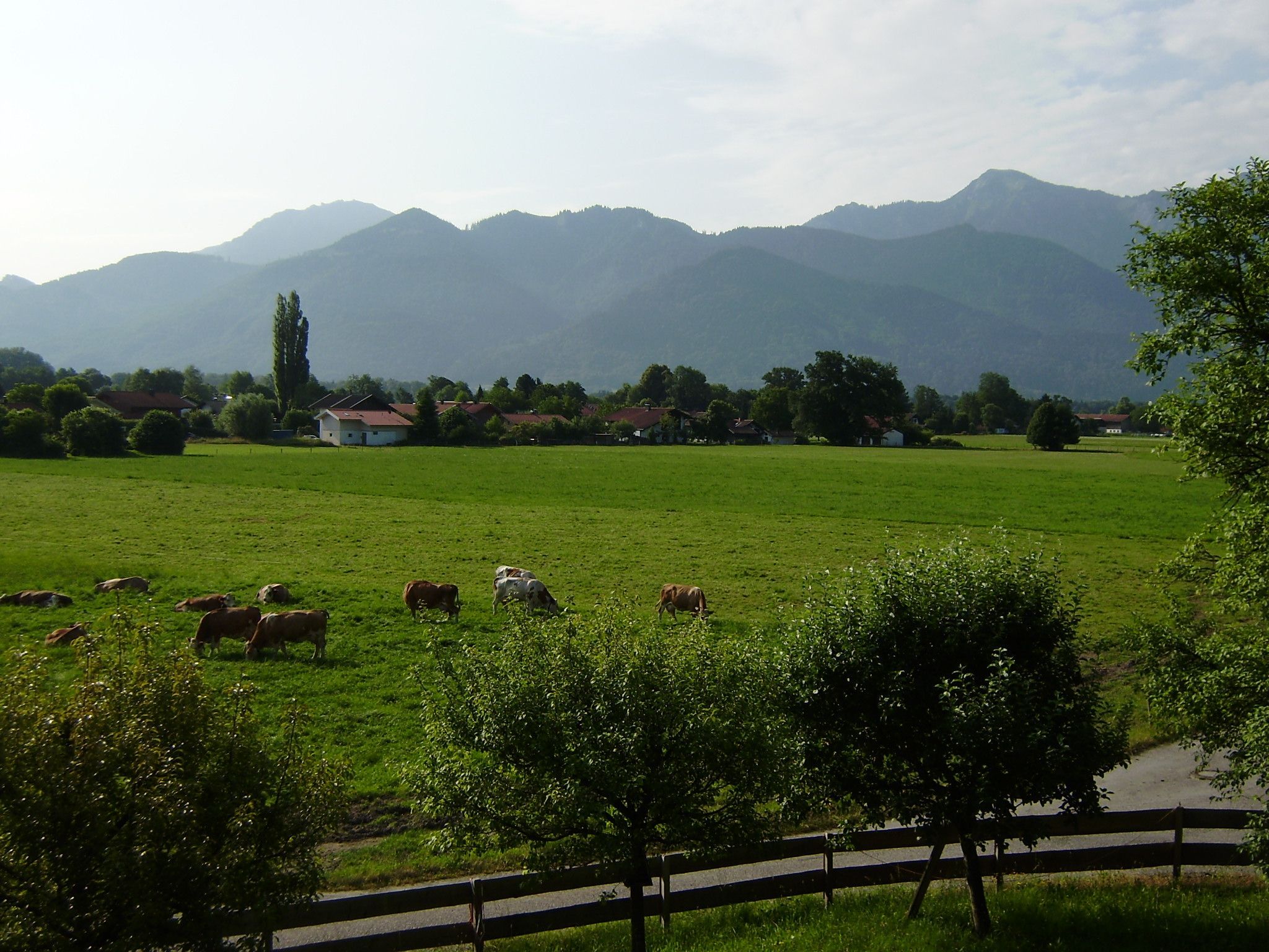 Ausblick