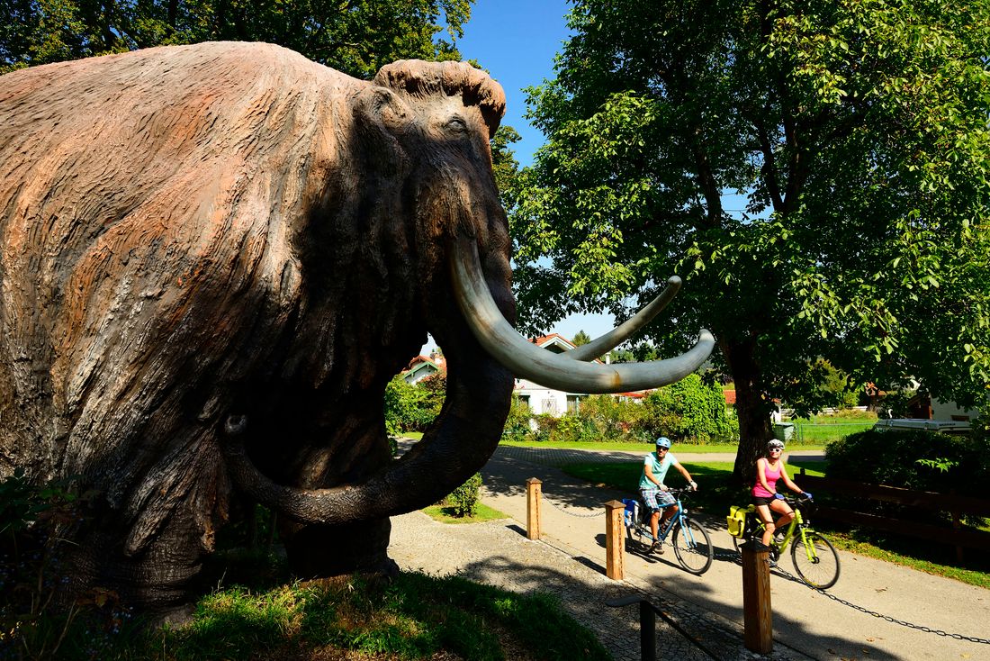 Radfahren in Siegsdorf mit Mammut