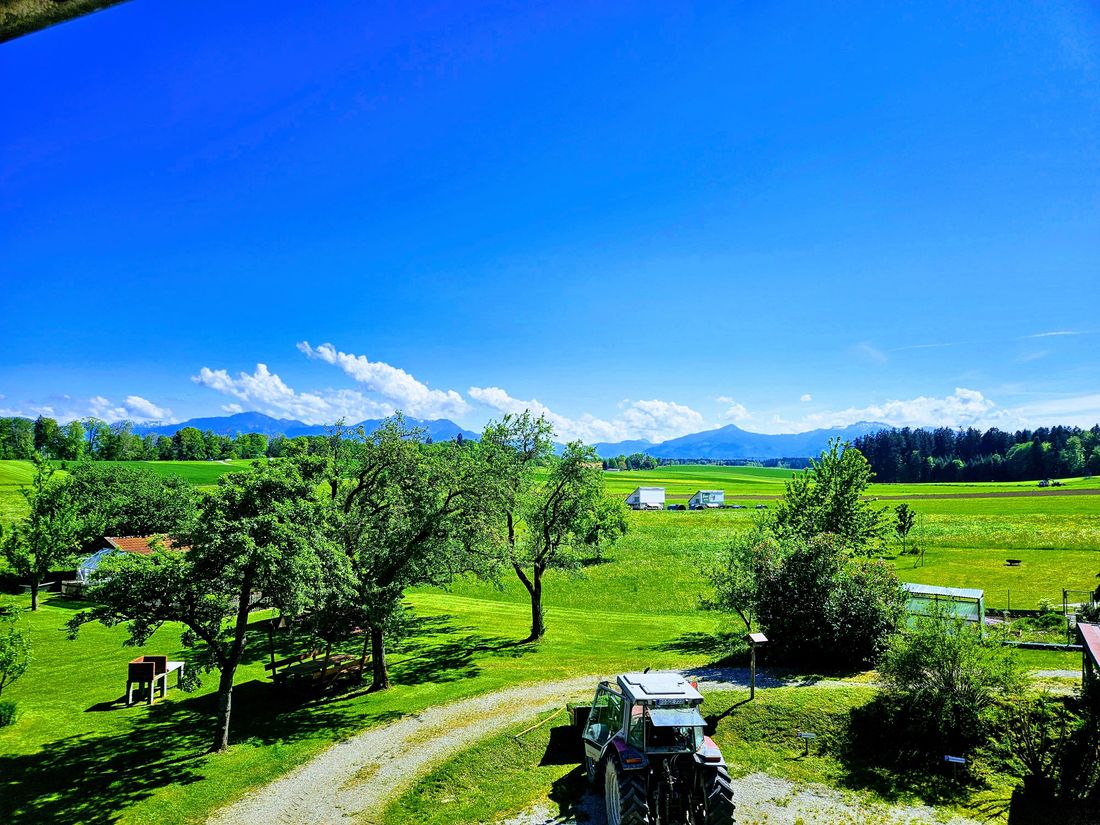 Ausblick Balkon