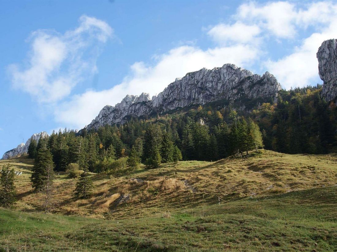 Umgebung