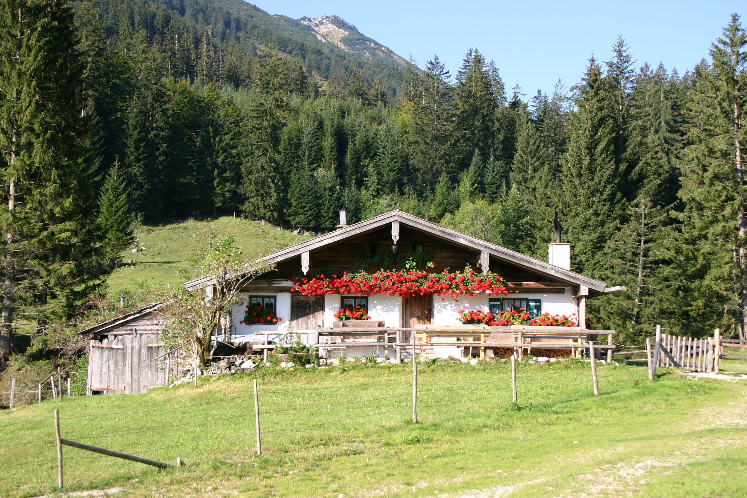 Vordere Dalsen-Alm