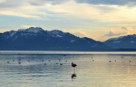 Chiemsee mit Blick auf die Berge