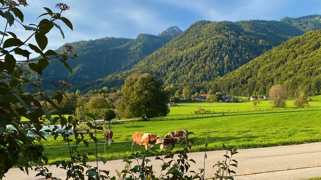 Ausblick Terrasse