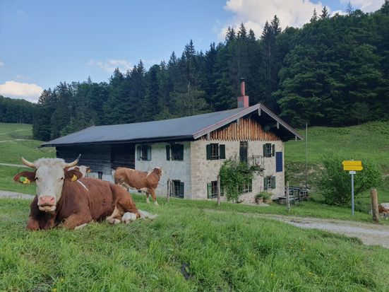 Pötschalm Jochberg