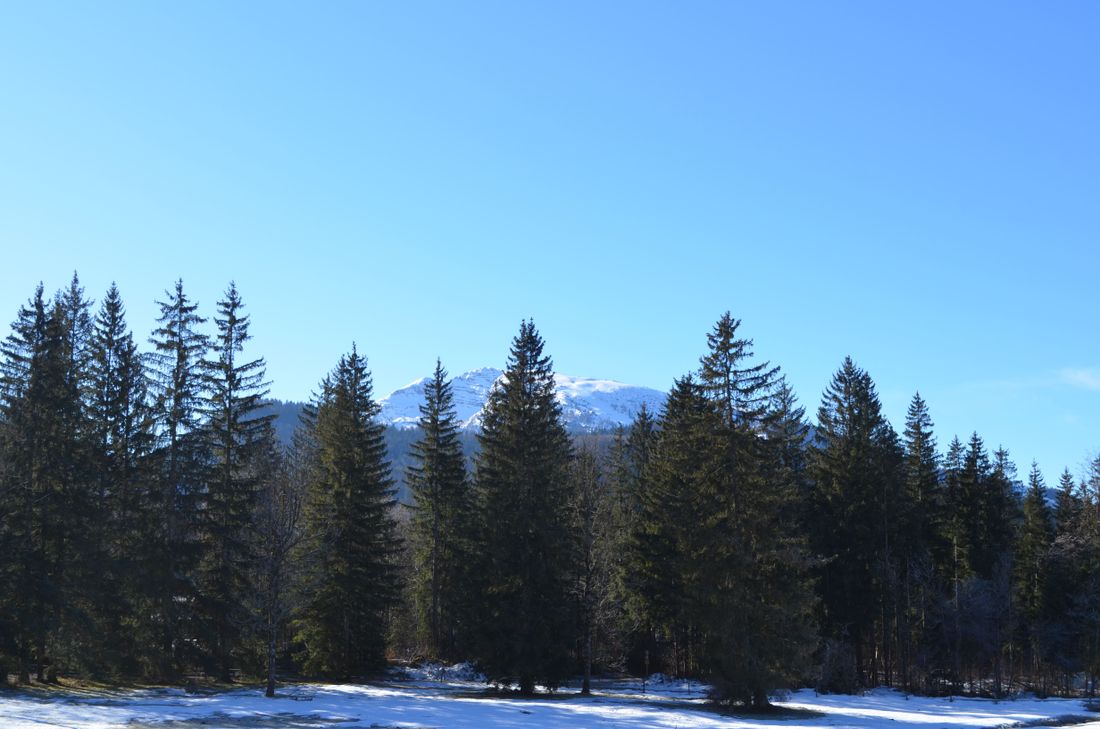 Bergblick1