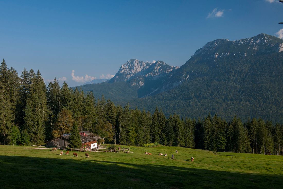 Aussicht Bäckeralm