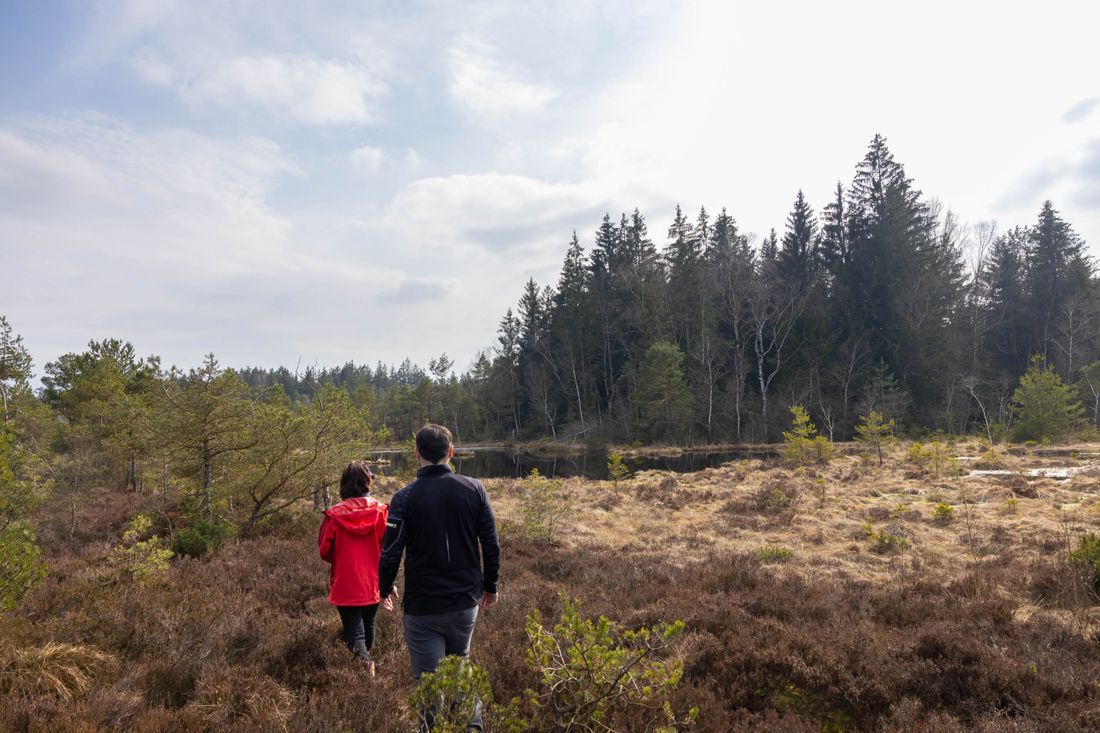 Wanderung fürs Gemüt