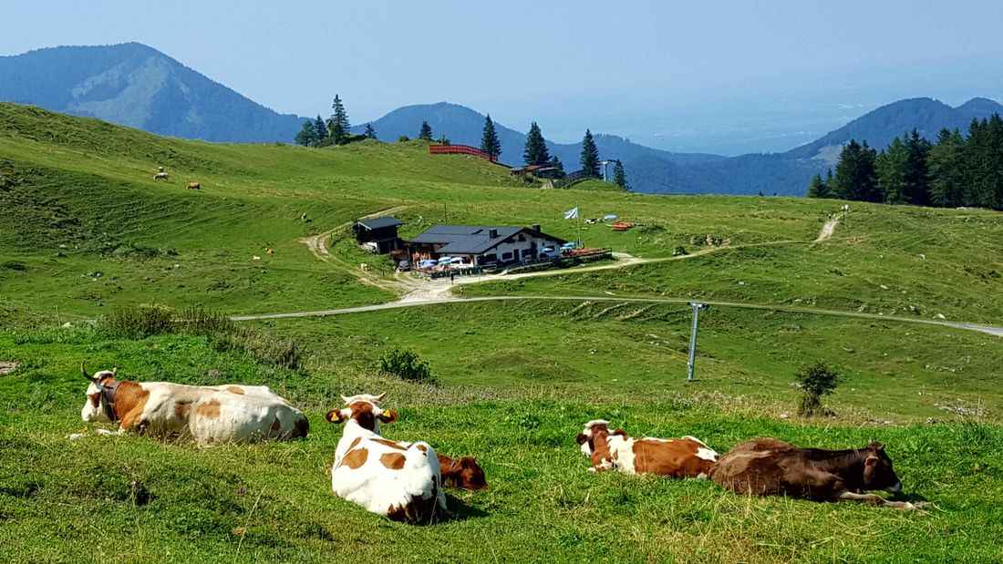 Wandern in den bayrischen Bergen